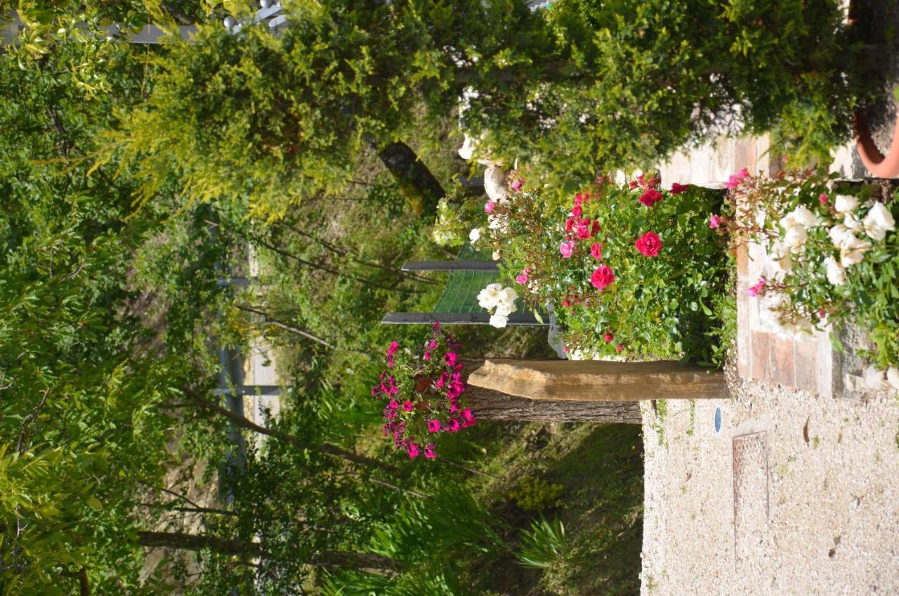 B&B La Terrazza Del Subasio Assisi Exterior photo