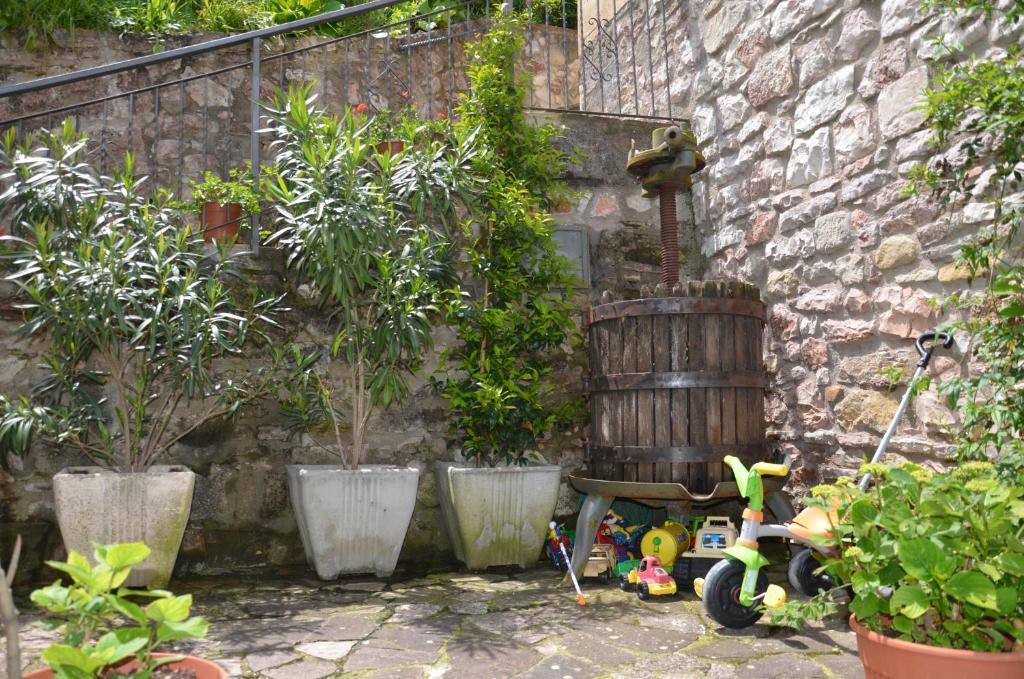 B&B La Terrazza Del Subasio Assisi Exterior photo